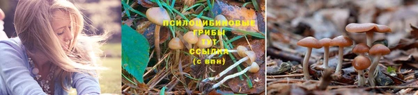 каннабис Балахна